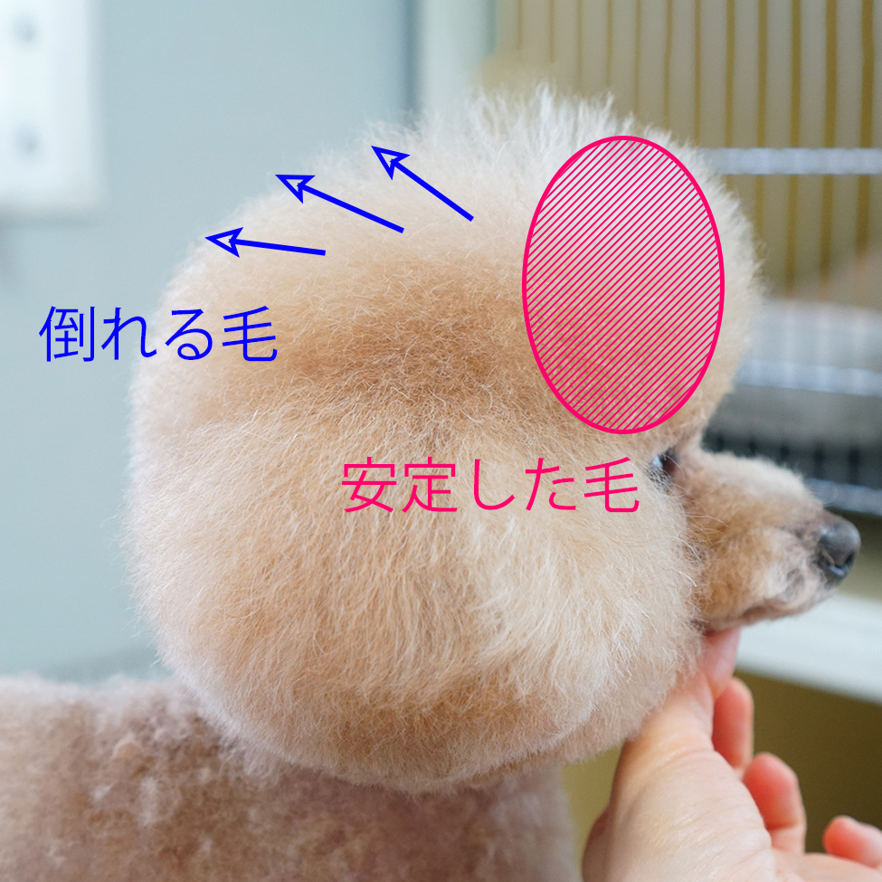 おまけ