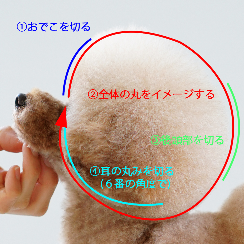全体の丸さを決める
