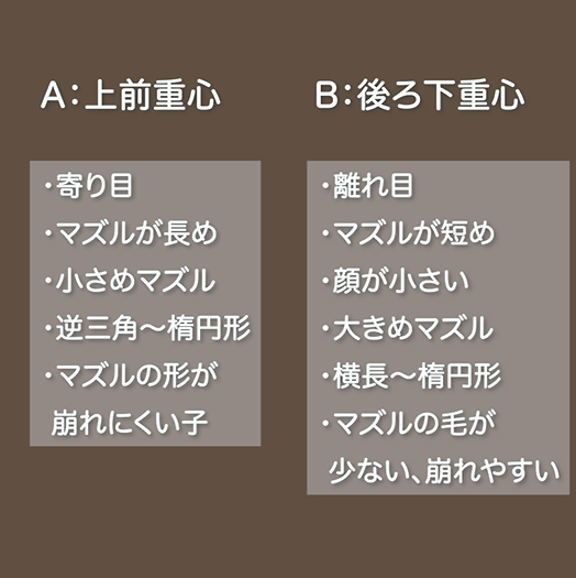使い分け