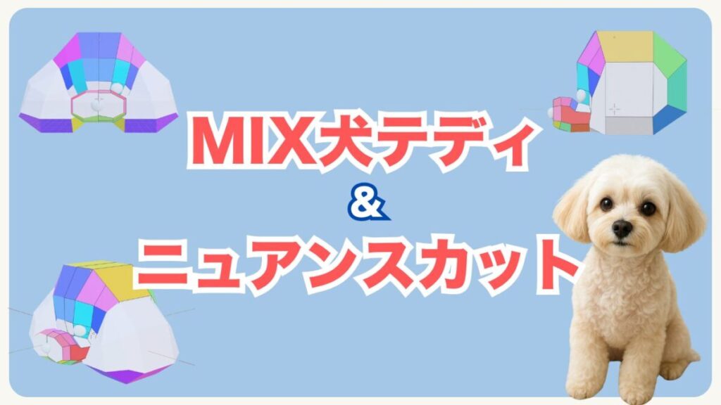 ニュアンス・MIXテディ