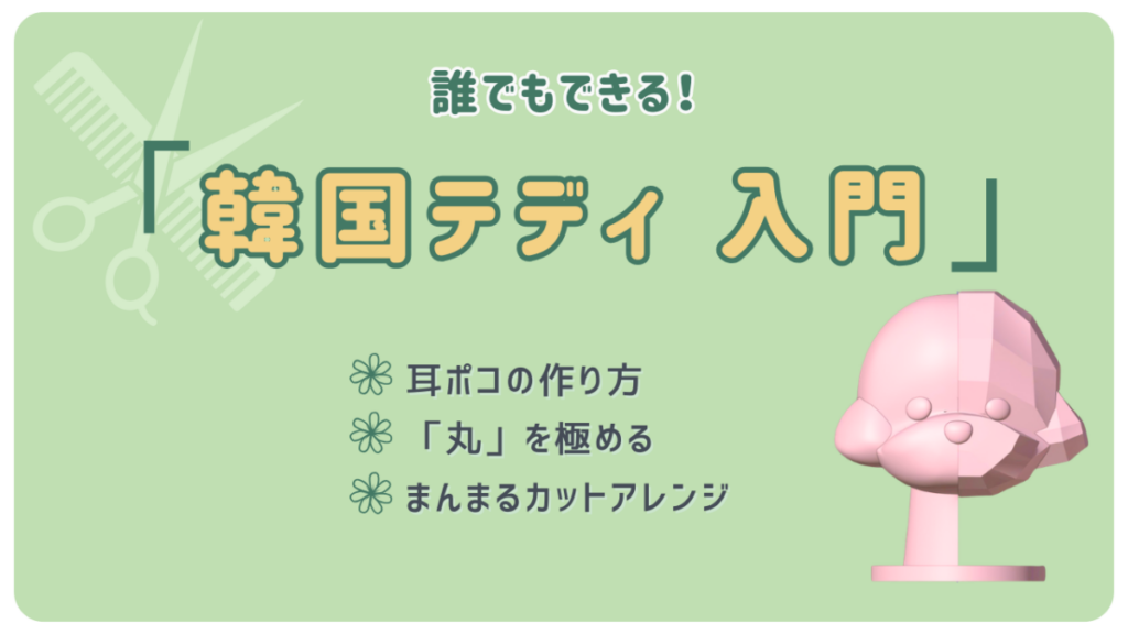 韓国テディ 入門