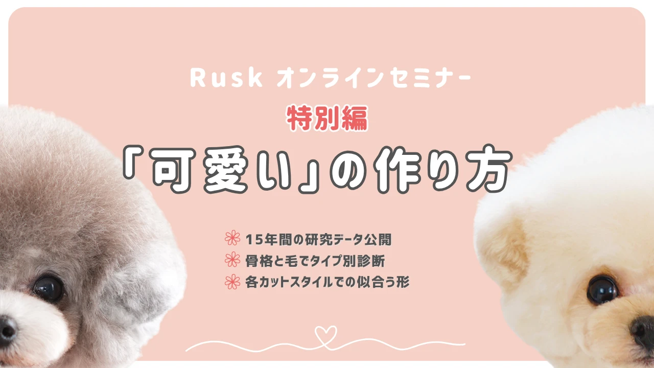 特別回　「可愛い」の作り方